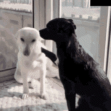 包覆感與震動示意圖