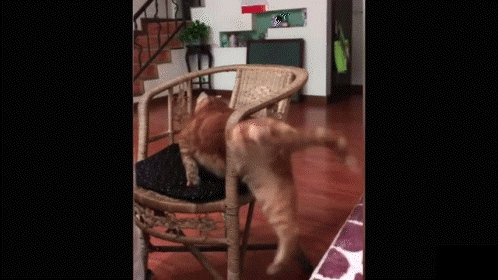 機器移動幅度有限示意圖