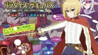パラダイス・サキュバス ～破戒と創生と混沌の楽園～ 存檔 Savefile Savedata