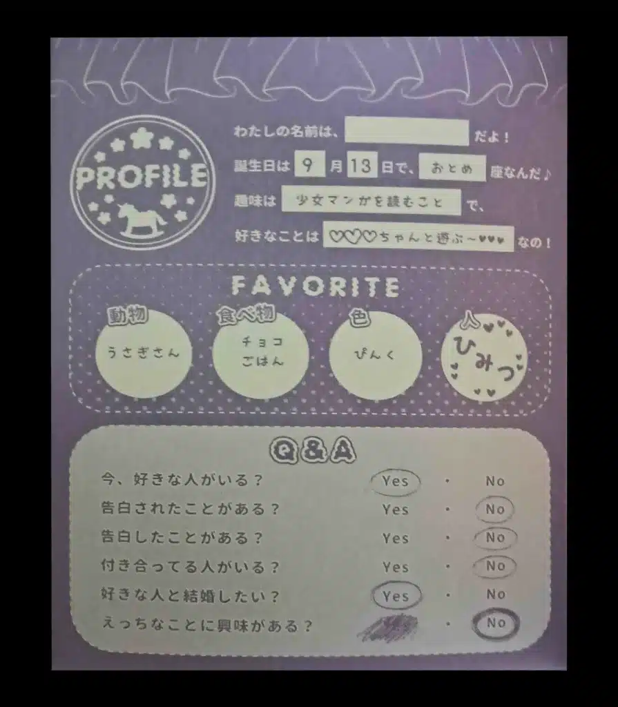 對子哈特 處女純潔 自慰套 飛機杯 外盒正面內側