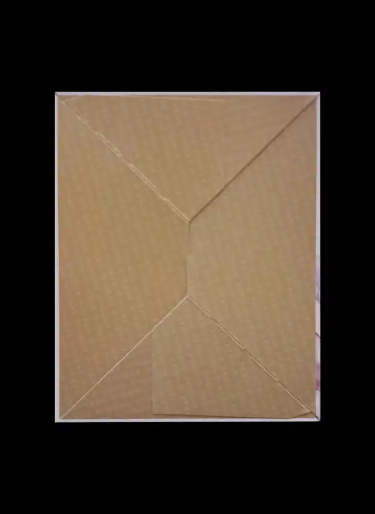 對子哈特 處女純潔 自慰套 飛機杯 外盒背面