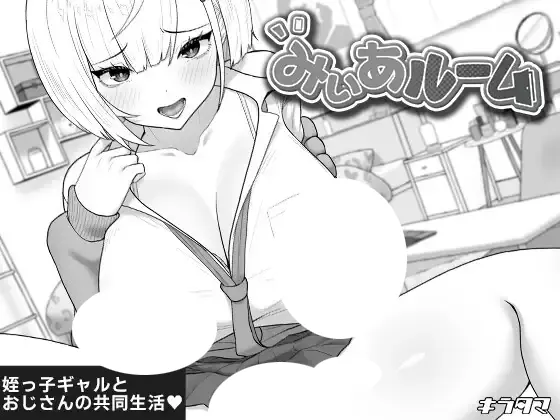 みぃあルーム 存檔 Savefile Savedata 遊戲封面